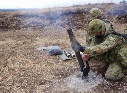 Японская морская пехота